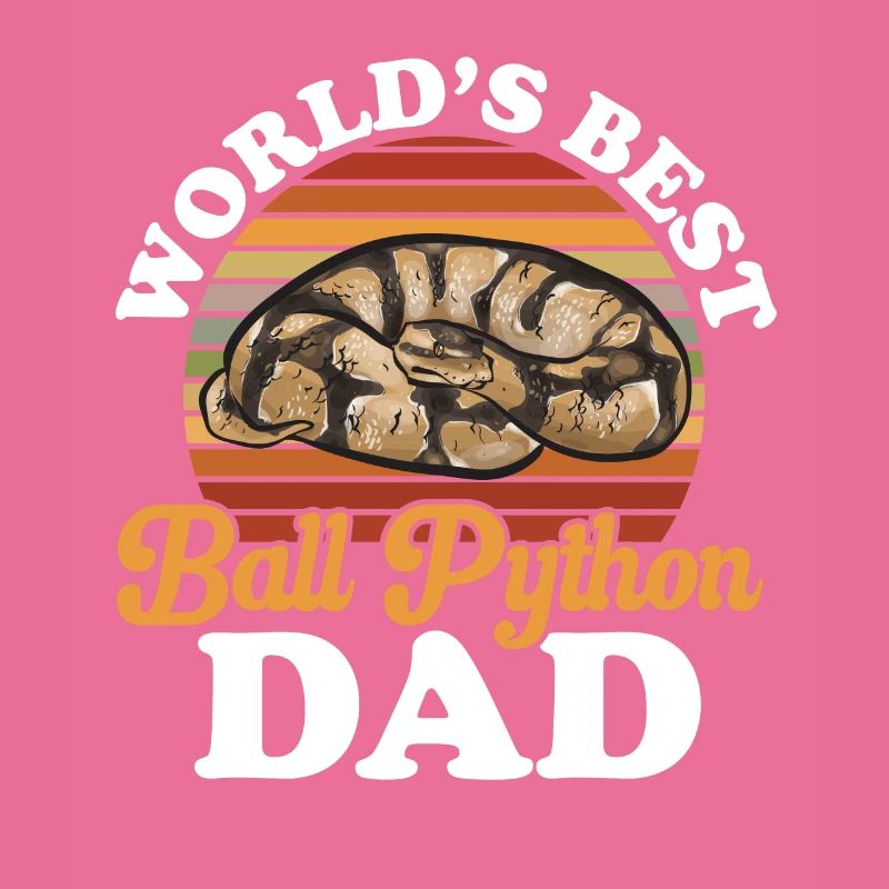 Ball Python Schlange Königspython