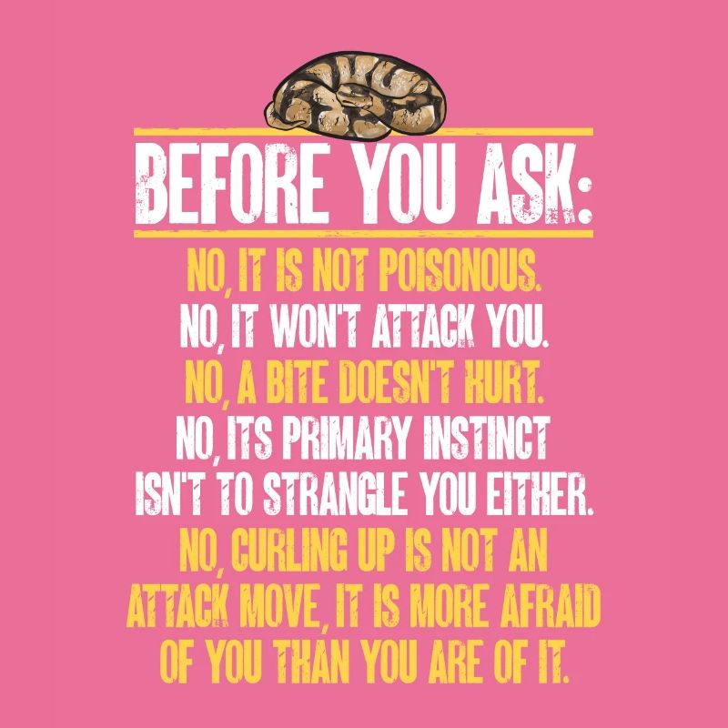 Ball Python Schlange Königspython