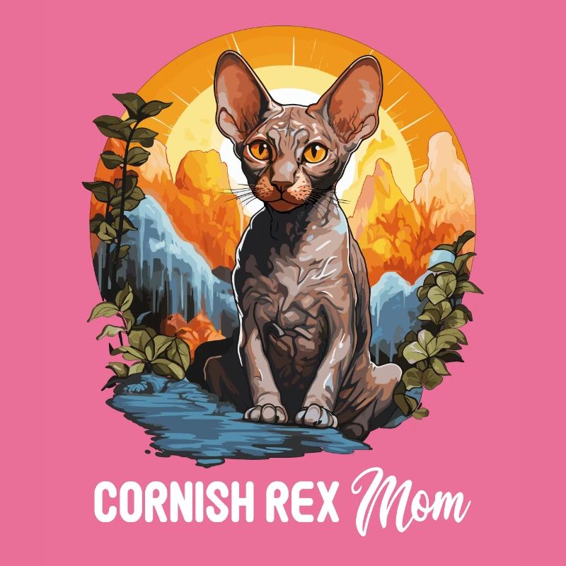 Cornish Rex Kätzchen Cornish Rex Katze
