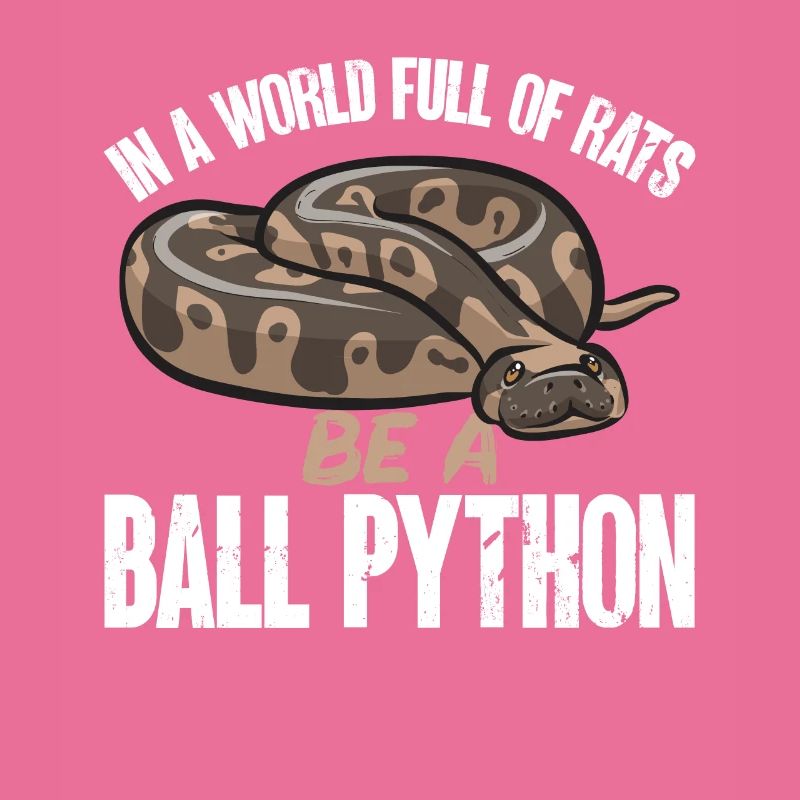 Ball Python Schlange Königspython