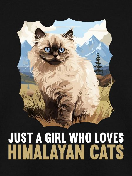 Himalayan Cat Colourpoint Katze