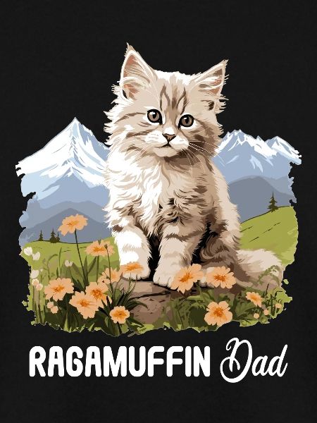Ragamuffin Kätzchen Ragamuffin Katze
