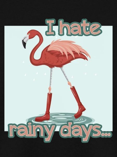 FLAMINGO- RAIN- RETRO