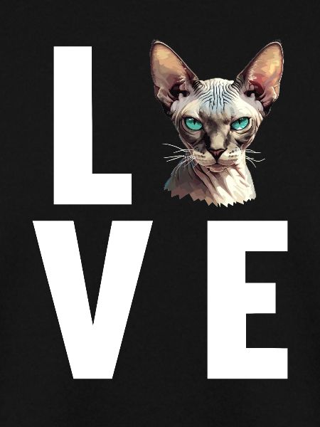 Sphynx Kitten Sphynx Cat