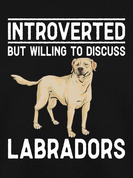 Gelber Labrador Retriever