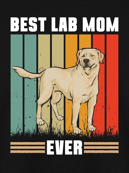 Gelber Labrador Retriever