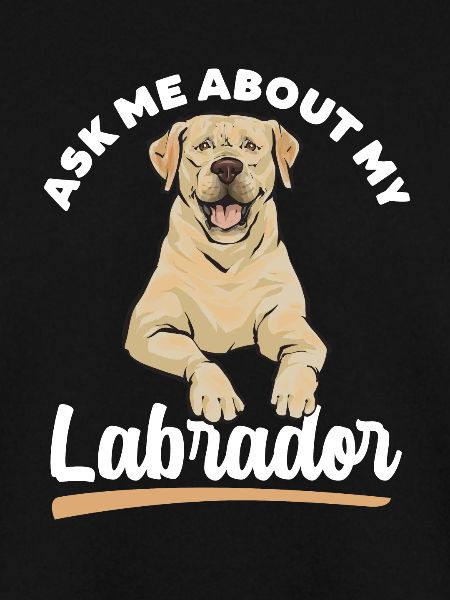 Gelber Labrador Retriever