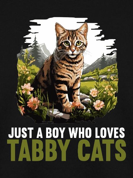 Tabby Kitten Tabby Cat