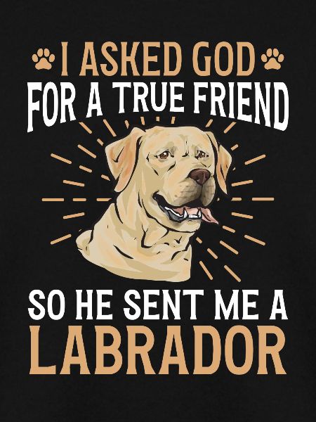 Gelber Labrador Retriever