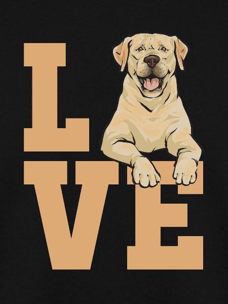 Yellow Labrador Retriever