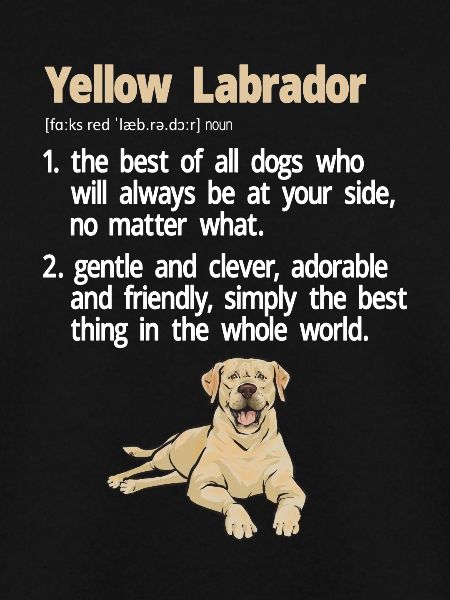 Gelber Labrador Retriever