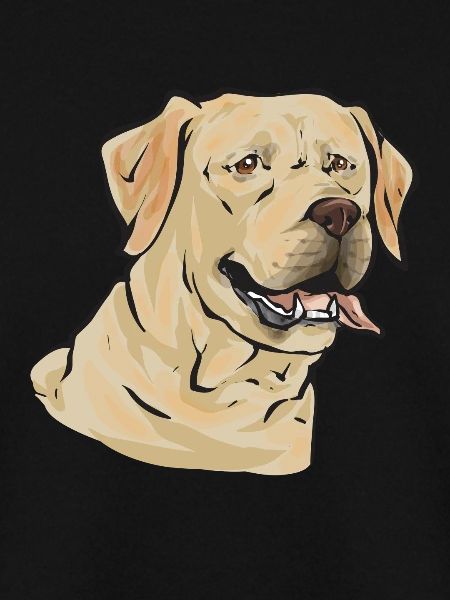 Gelber Labrador Retriever