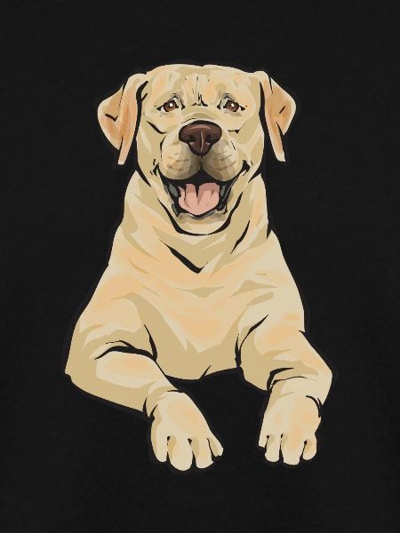 Gelber Labrador Retriever