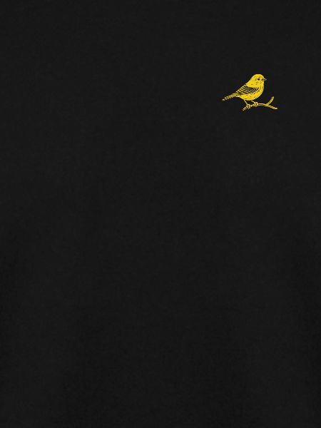 Canary