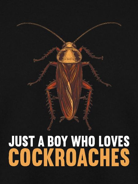 Cockroach Kakerlaken Kakerlake