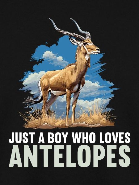 Antelope Antilopen Antilope