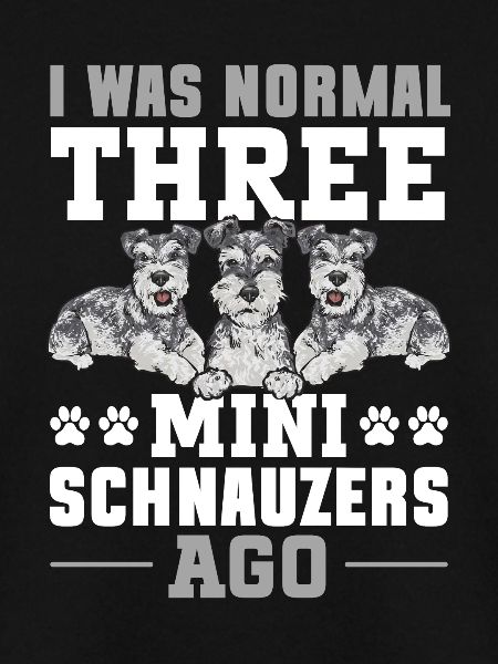 Zwergschnauzer Hund Schnauzer