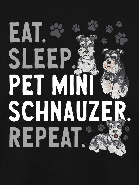 Zwergschnauzer Hund Schnauzer