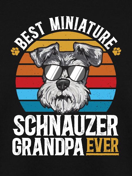 Zwergschnauzer Hund Schnauzer