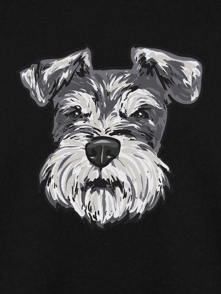 Zwergschnauzer Hund Schnauzer