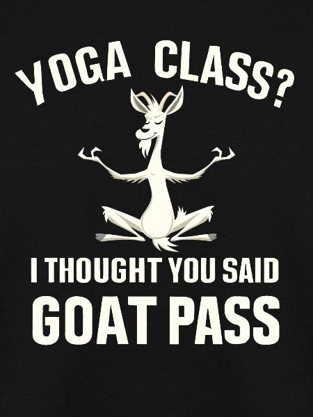 Yoga-Kurs oder Ziegenpass