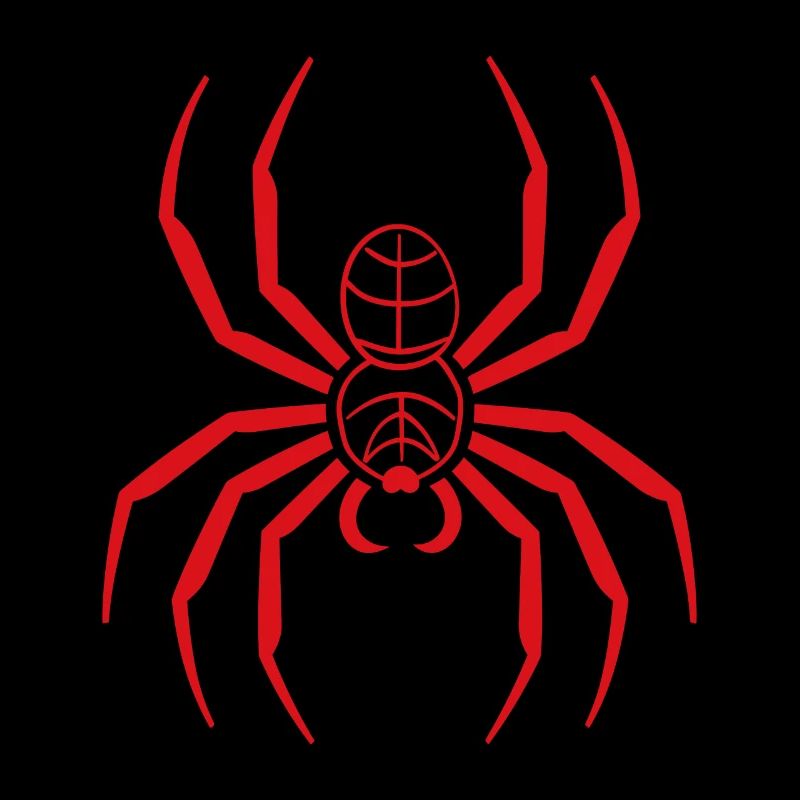 Spinne