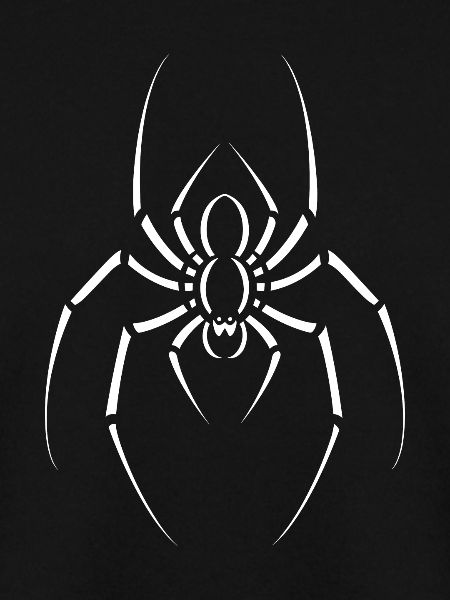 Spinne