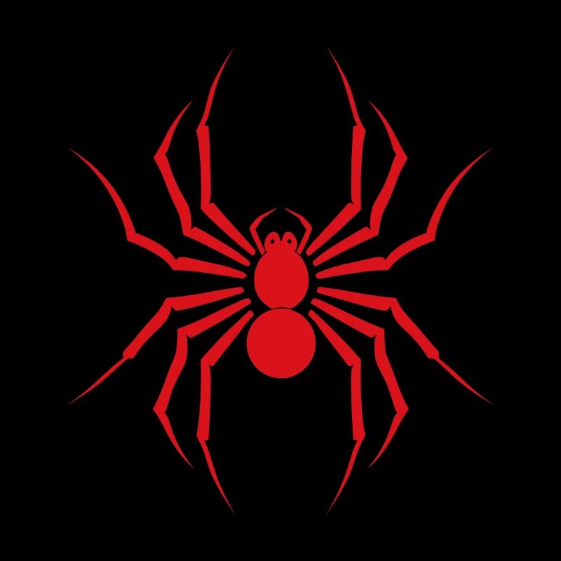 Spinne