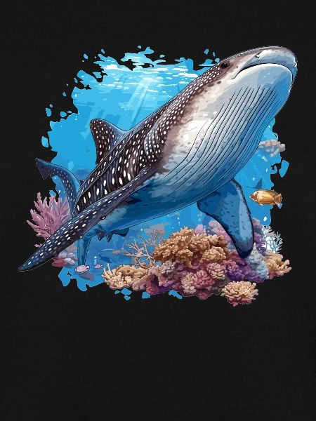 Whale Shark Walhaie Walhai