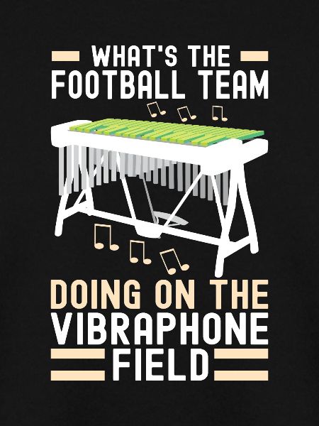 Vibraphon Vibraphonist