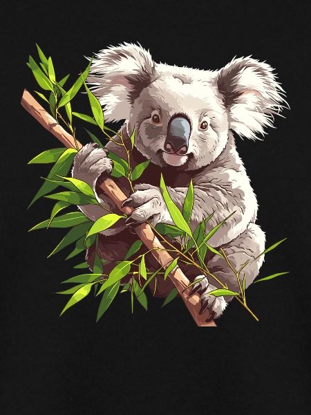 Koalas Koala