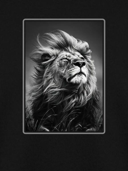 Lion Löwen Löwe