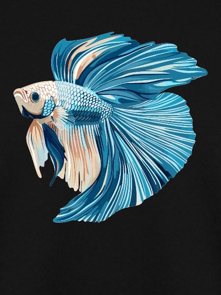 Bettas Betta Fish Betta