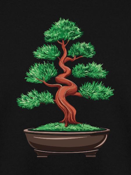 Bonsai Baum Japanisch Bonsai