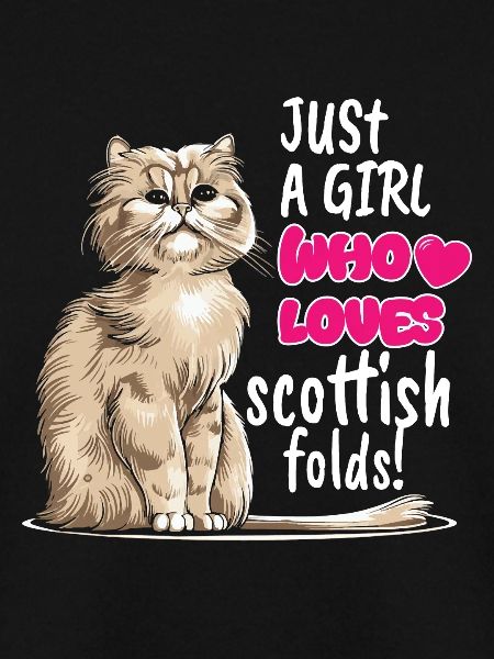 Scottish Fold Cat