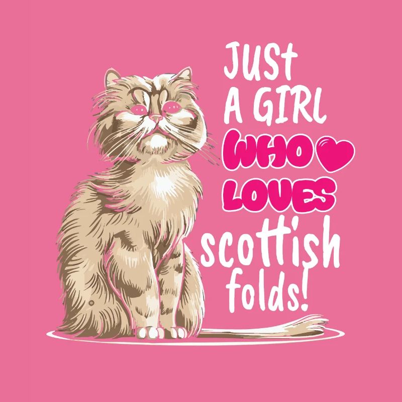 Scottish Fold Cat