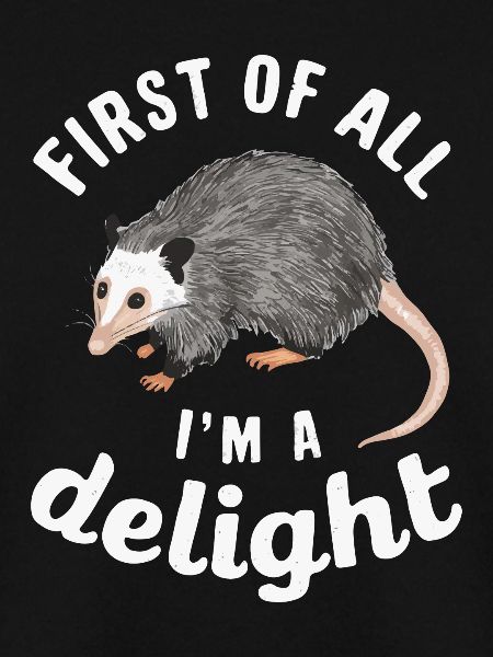 Opossum Possum Tier