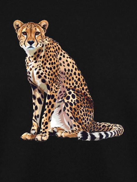 Cheetah Geparde Gepard