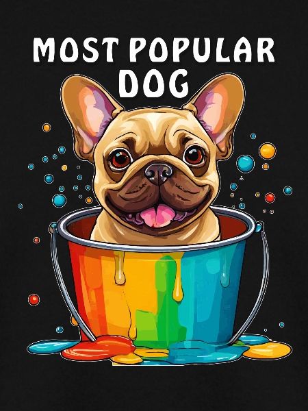 FRENCHIE MOST POPULAR DOG