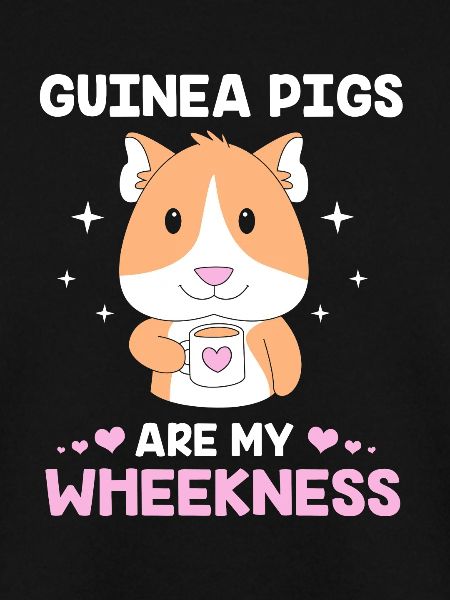 Guinea pig