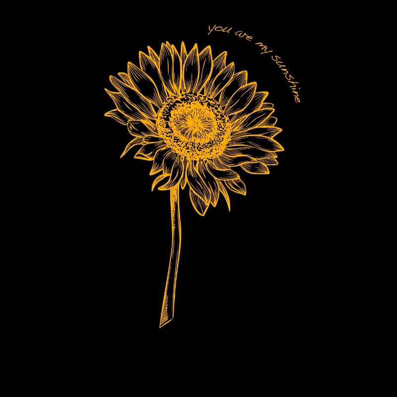 Sonnenschein Sonnenblume Sunshine Sunflower