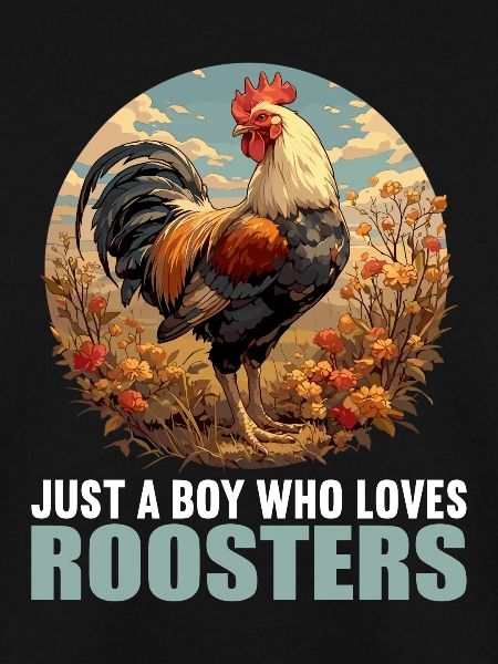 Rooster Hähne Hahn