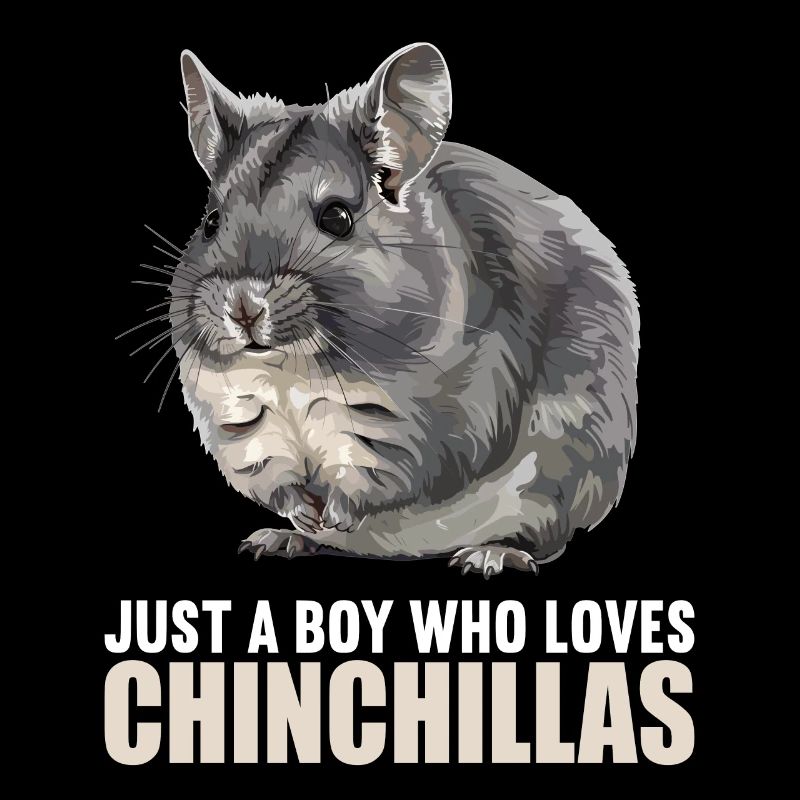 Chinchillas Chinchilla