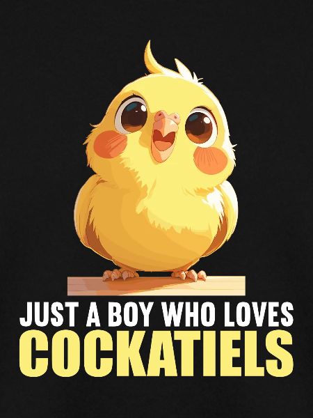 Cockatiel Nymphensittiche Nymphensittich