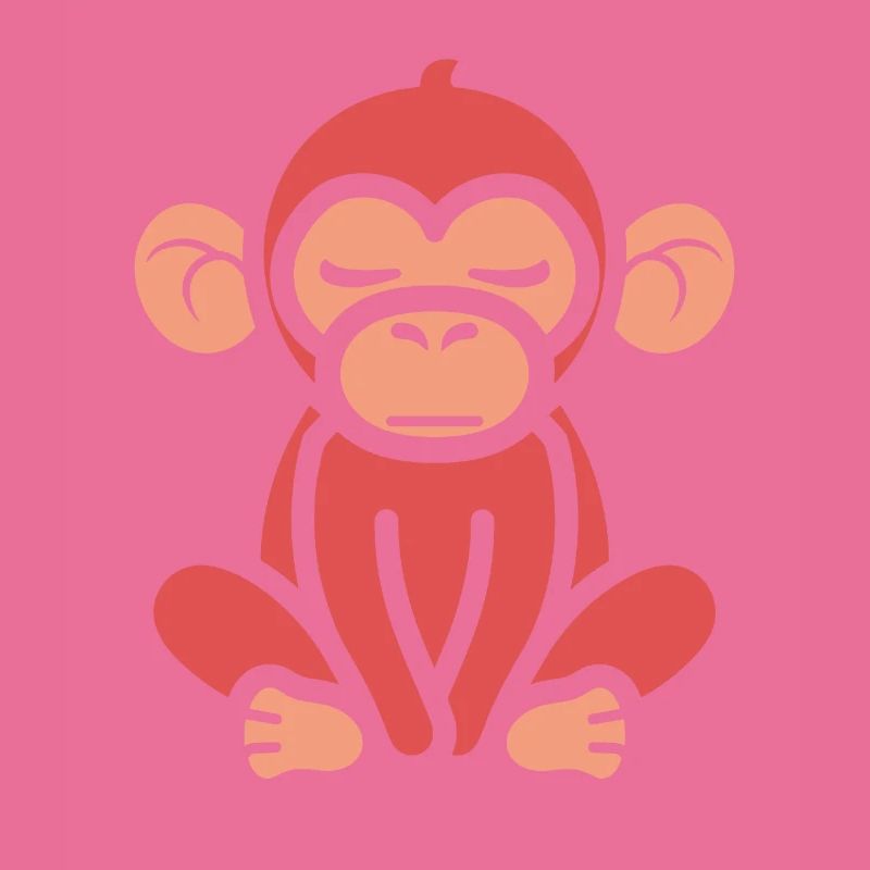 Baboon monkey
