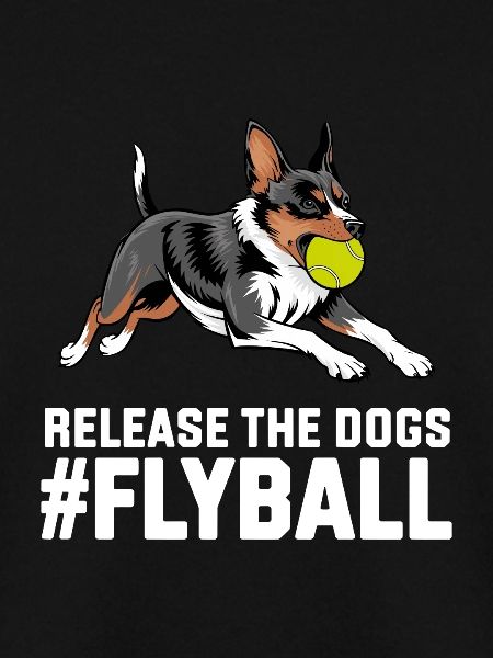 Flyball Hundesport