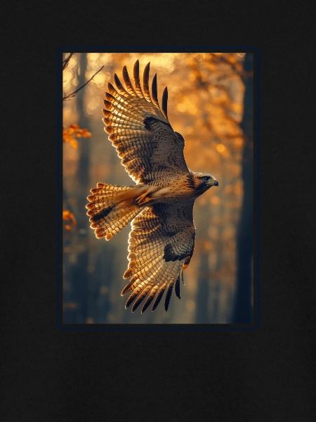 Falken Falke