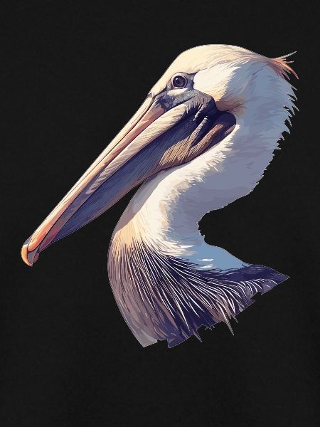 Pelicans Pelican