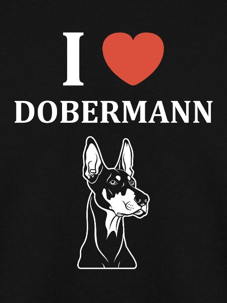 Dobermann