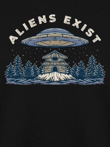 Alien UFO Abduction Cabin
